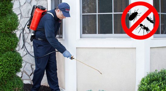 Gevaş Böcek ve Haşere İlaçlama böcek ilaçlama ve haşere kontrolü — ilaclama-tr.com